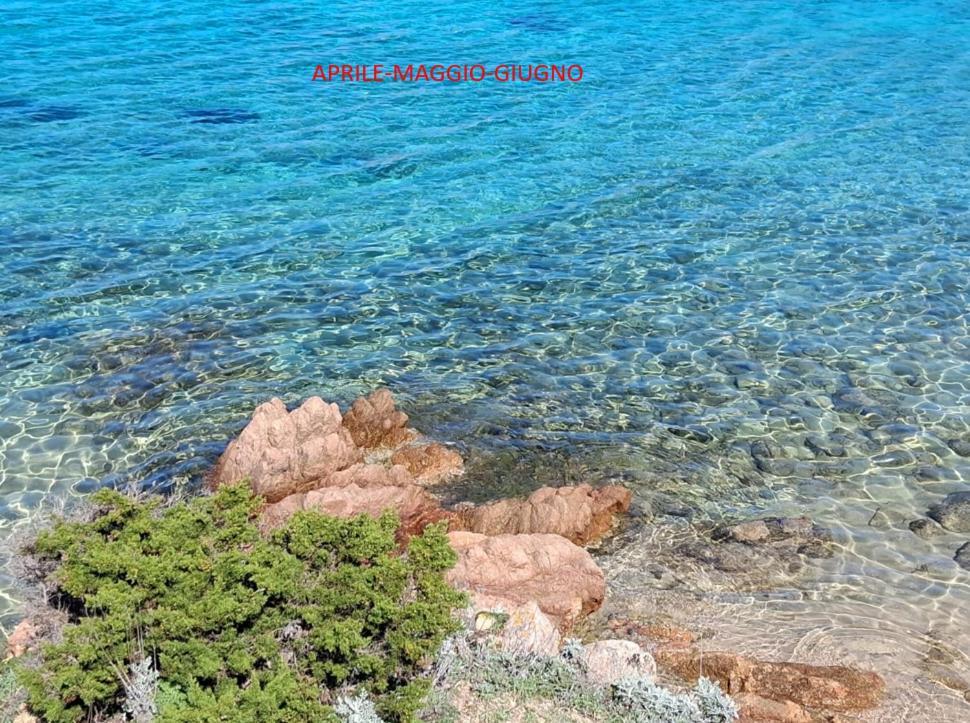 Affittacamere Campagna Con Charme La Maddalena (Sassari)